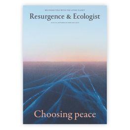 September/October 2025