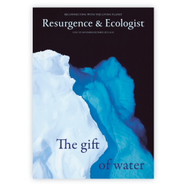 November/December 2025