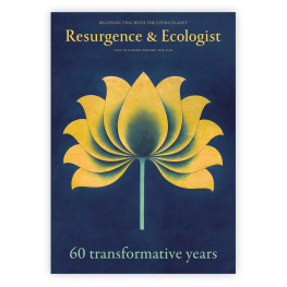 January/February 2026