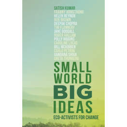 Small World, Big Ideas