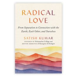 Radical Love